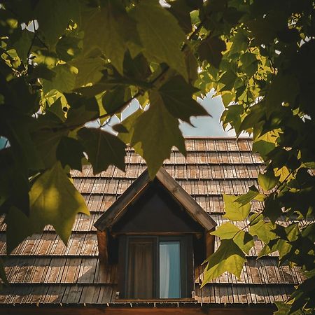 Guesthouse Pashko Theth Kültér fotó